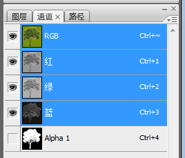 图片110.png